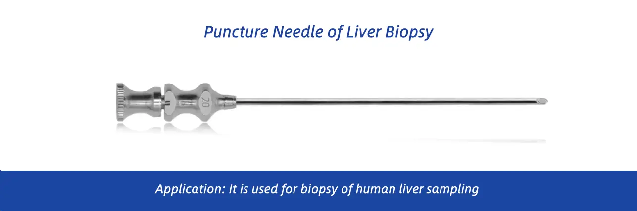 produktua-1-1 produktua-1-1